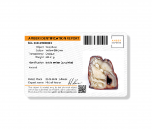 Amber Identification Micro Report