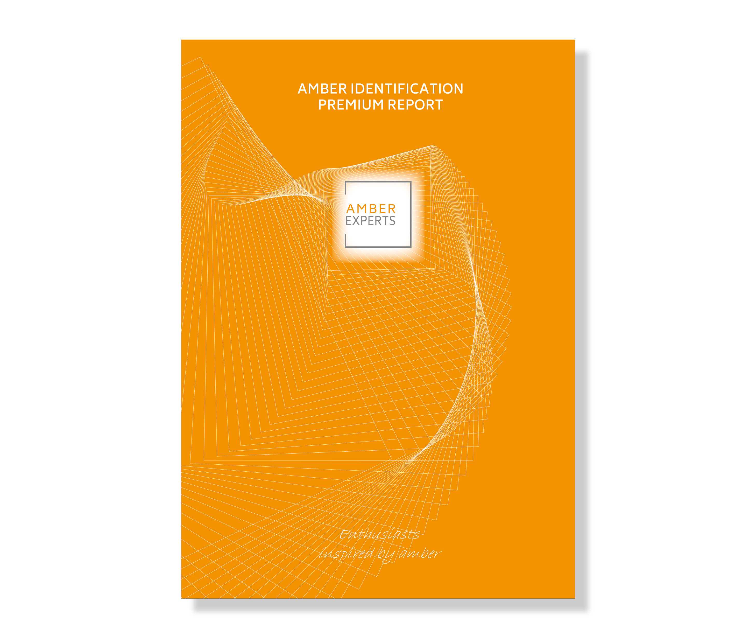 Amber Identification Premium Report
