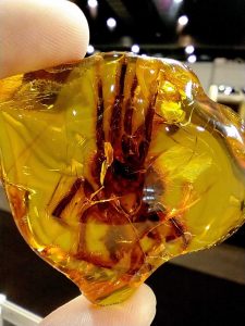 Spider in Baltic amber | Jonas Damzen collection