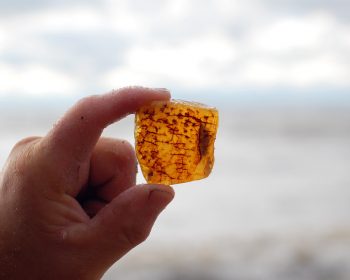 Baltic amber on the beach